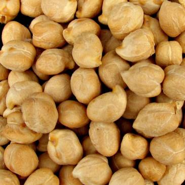 Kikkererwten en Mesologie of Mesoloog of dieet