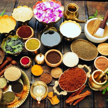 Ayurveda en Mesologie of Mesoloog