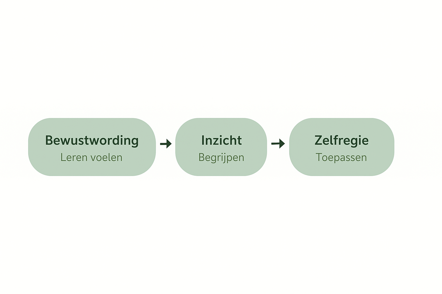 Diagram met drie groene fasen: Bewustwording, Inzicht en Zelfregie